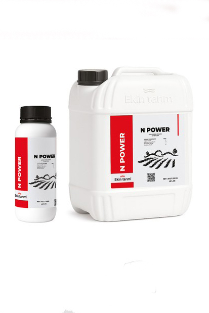 N POWER