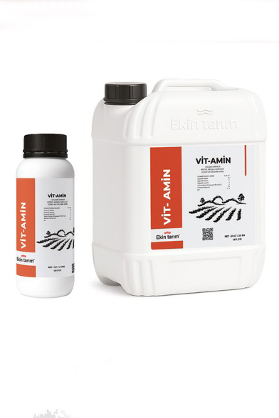 VİT-AMİN