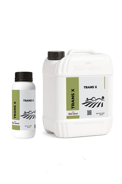 TRANS X
